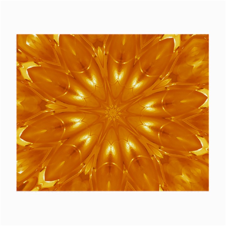 Kaleidoscopic Flower Small Glasses Cloth