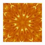 Kaleidoscopic Flower Medium Glasses Cloth (2-Side) Front