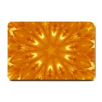 Kaleidoscopic Flower Small Doormat  24 x16  Door Mat