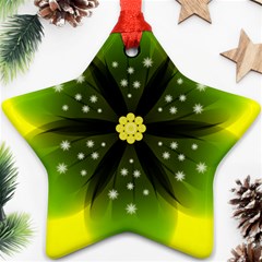 Christmas Flower Nature Plant Star Ornament (two Sides) by Sapixe