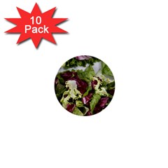 Salad Lettuce Vegetable 1  Mini Buttons (10 Pack)  by Sapixe