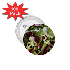 Salad Lettuce Vegetable 1 75  Buttons (100 Pack)  by Sapixe