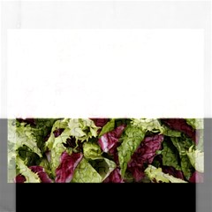 Salad Lettuce Vegetable Rectangular Jigsaw Puzzl by Sapixe