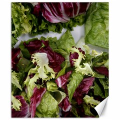 Salad Lettuce Vegetable Canvas 8  X 10  by Sapixe