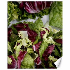 Salad Lettuce Vegetable Canvas 16  X 20  by Sapixe