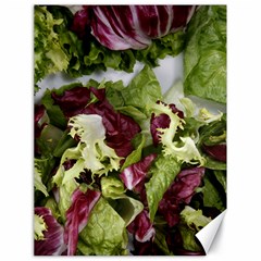 Salad Lettuce Vegetable Canvas 18  X 24  by Sapixe