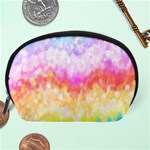 Rainbow Pontilism Background Accessory Pouch (Large) Back