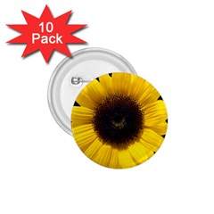 Flowers Hearts Heart 1 75  Buttons (10 Pack) by Sapixe