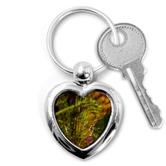 Dragonfly Dragonfly Wing Close Up Key Chains (heart)  by Sapixe