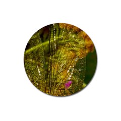 Dragonfly Dragonfly Wing Close Up Magnet 3  (round) by Sapixe