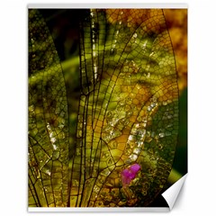 Dragonfly Dragonfly Wing Close Up Canvas 18  X 24  by Sapixe