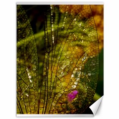 Dragonfly Dragonfly Wing Close Up Canvas 36  X 48  by Sapixe