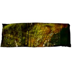 Dragonfly Dragonfly Wing Close Up Body Pillow Case (dakimakura) by Sapixe