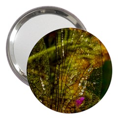 Dragonfly Dragonfly Wing Close Up 3  Handbag Mirrors by Sapixe