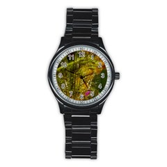 Dragonfly Dragonfly Wing Close Up Stainless Steel Round Watch by Sapixe