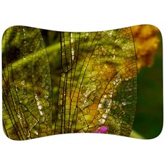 Dragonfly Dragonfly Wing Close Up Velour Seat Head Rest Cushion by Sapixe