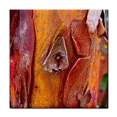 Bark Tree Texture Wood Trunk Tile Coasters by Sapixe