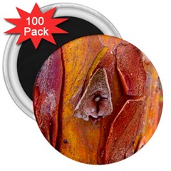 Bark Tree Texture Wood Trunk 3  Magnets (100 Pack) by Sapixe