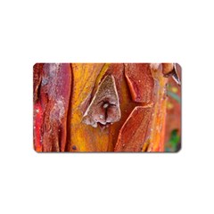 Bark Tree Texture Wood Trunk Magnet (name Card) by Sapixe