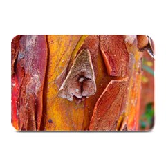 Bark Tree Texture Wood Trunk Plate Mats by Sapixe