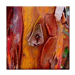 Bark Tree Texture Wood Trunk Face Towel by Sapixe