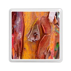 Bark Tree Texture Wood Trunk Memory Card Reader (square)