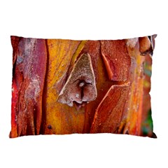 Bark Tree Texture Wood Trunk Pillow Case (two Sides) by Sapixe