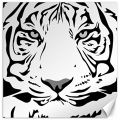 Tiger Black Ans White Canvas 12  X 12  by alllovelyideas