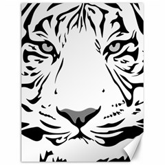 Tiger Black Ans White Canvas 12  X 16  by alllovelyideas