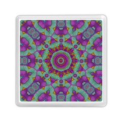 Water Garden Lotus Blossoms In Sacred Style Memory Card Reader (square) by pepitasart