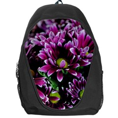 Maroon And White Mums Backpack Bag