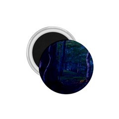 Beeches Tree Forest Beech Shadows 1 75  Magnets by Sapixe