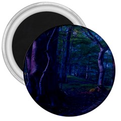 Beeches Tree Forest Beech Shadows 3  Magnets by Sapixe