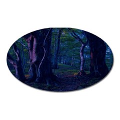 Beeches Tree Forest Beech Shadows Oval Magnet by Sapixe