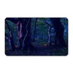 Beeches Tree Forest Beech Shadows Magnet (rectangular) by Sapixe