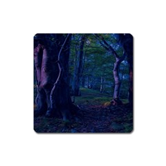 Beeches Tree Forest Beech Shadows Square Magnet by Sapixe