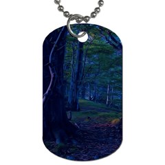 Beeches Tree Forest Beech Shadows Dog Tag (two Sides) by Sapixe