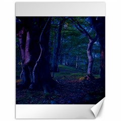 Beeches Tree Forest Beech Shadows Canvas 12  X 16  by Sapixe