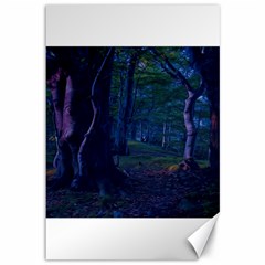 Beeches Tree Forest Beech Shadows Canvas 12  X 18  by Sapixe