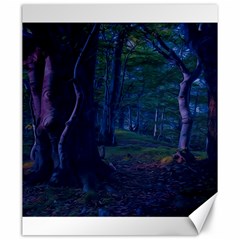 Beeches Tree Forest Beech Shadows Canvas 20  X 24  by Sapixe