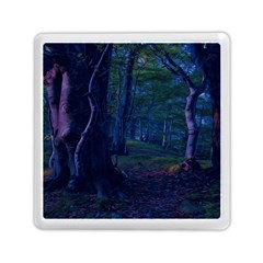 Beeches Tree Forest Beech Shadows Memory Card Reader (square) by Sapixe