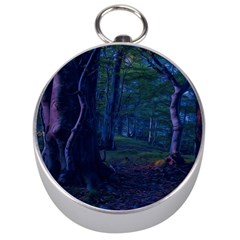 Beeches Tree Forest Beech Shadows Silver Compasses by Sapixe