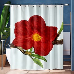 Deep Plumb Blossom Shower Curtain 60  x 72  (Medium) 