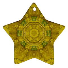 Sunshine Feathers And Fauna Ornate Star Ornament (two Sides) by pepitasart