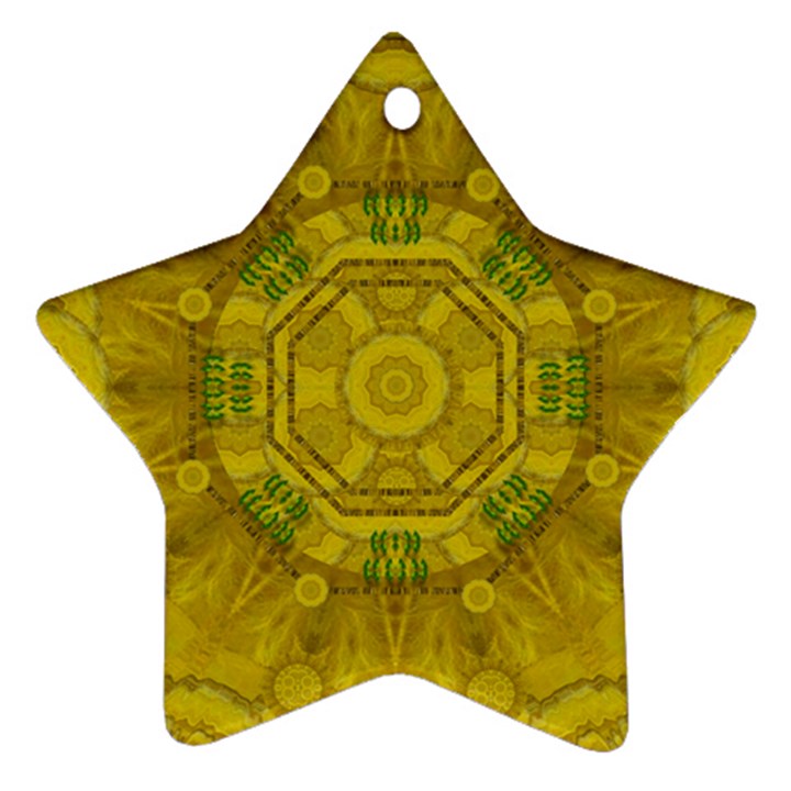 Sunshine Feathers And Fauna Ornate Star Ornament (Two Sides)