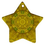 Sunshine Feathers And Fauna Ornate Star Ornament (Two Sides) Back