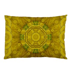 Sunshine Feathers And Fauna Ornate Pillow Case (two Sides) by pepitasart