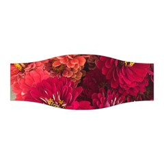 Peach And Pink Zinnias Stretchable Headband by bloomingvinedesign