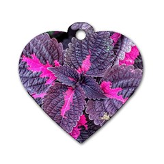 Beefsteak Plant Perilla Frutescens Dog Tag Heart (two Sides) by Sapixe