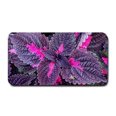 Beefsteak Plant Perilla Frutescens Medium Bar Mats